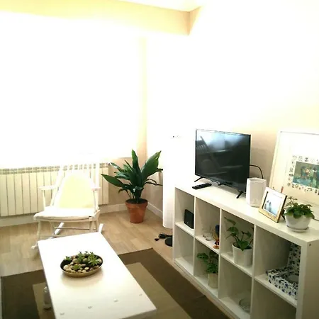 Apartment Torre Center Ii *