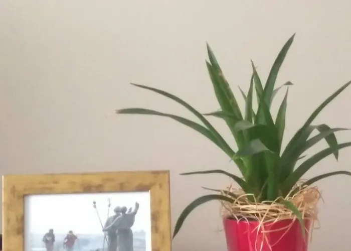 Torre Center Ii * Santiago de Compostela